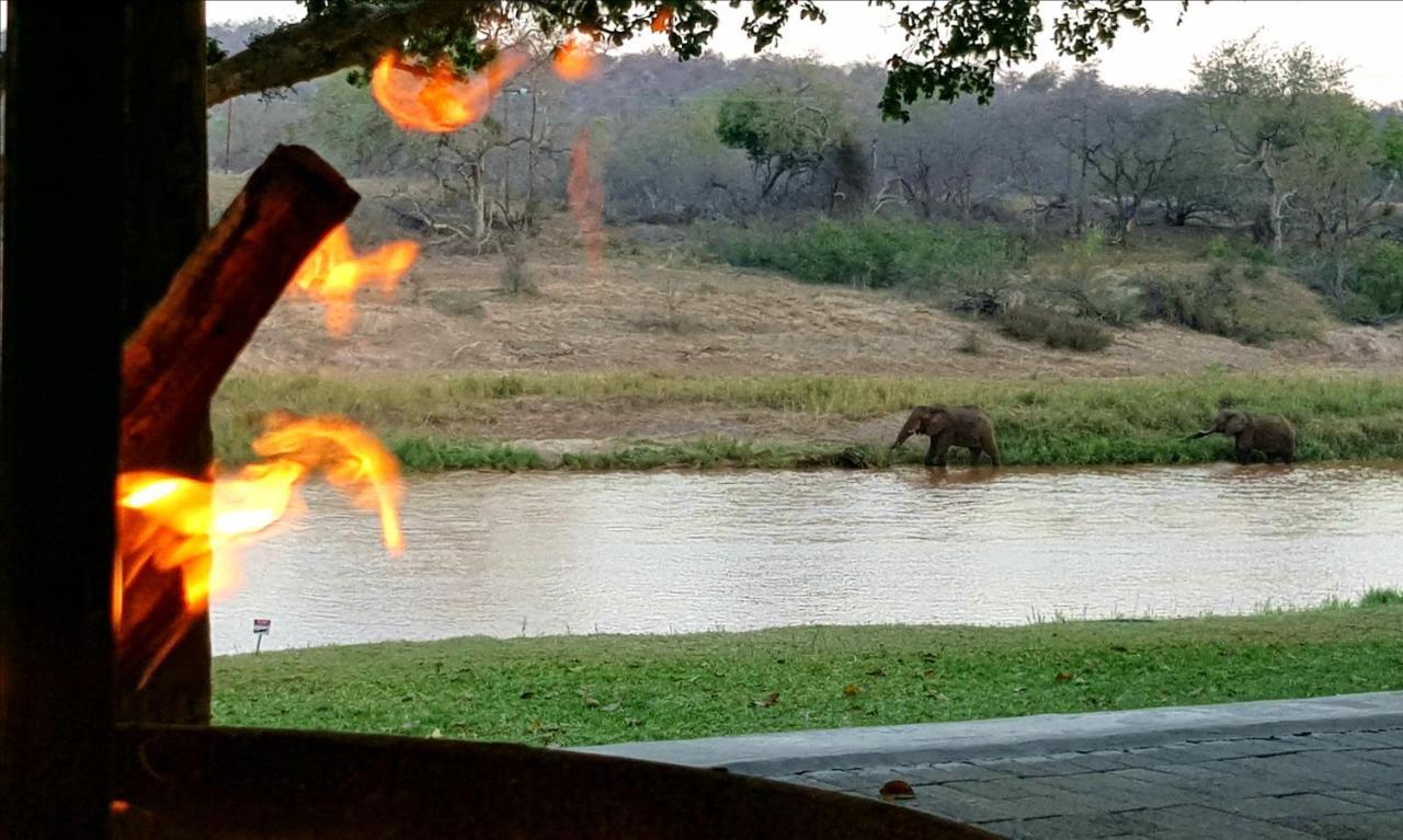 Maninghi Lodge Balule Game Reserve Esterno foto